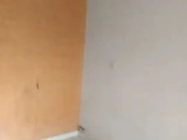 Imagem 5: Aluga Se Barracão