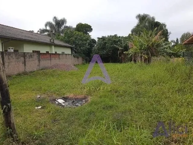 Imagem: Florianópolis - Terreno Padrão - Ribeirão