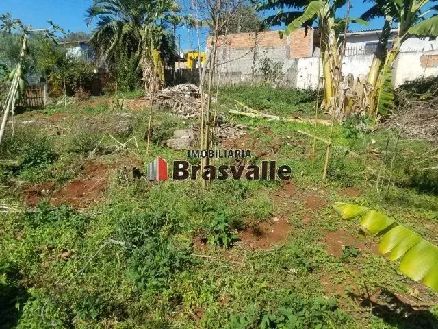 Imagem 1: Cascavel - Terreno Padrão - Cascavel Velho