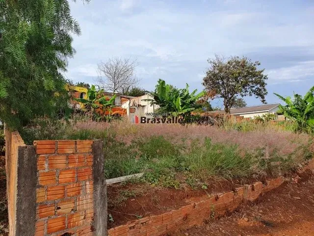 Imagem 6: Cascavel - Terreno Padrão - Cascavel Velho