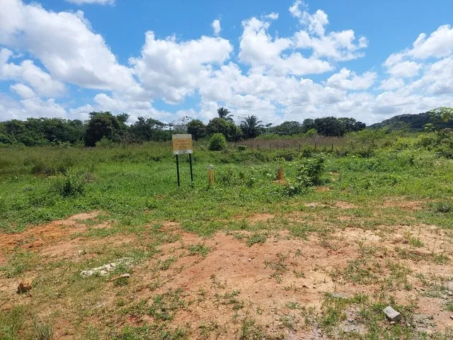 Imagem 2: Terreno para Galpão Ou Indústria