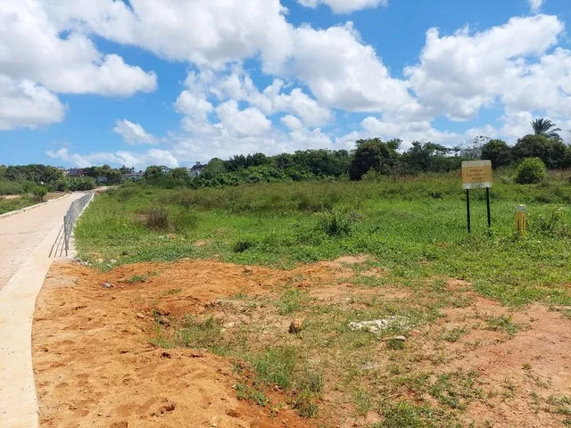 Imagem 5: Terreno para Galpão Ou Indústria