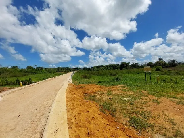 Imagem 6: Terreno para Galpão Ou Indústria