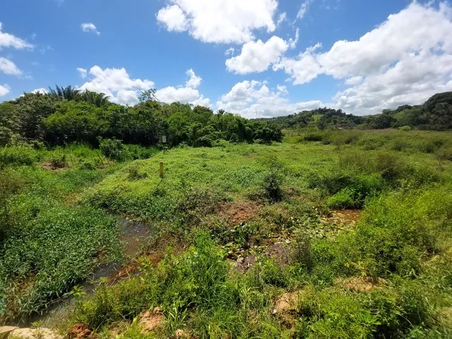 Imagem 4: Terreno para Galpão Ou Indústria