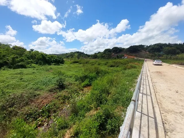 Imagem 3: Terreno para Galpão Ou Indústria