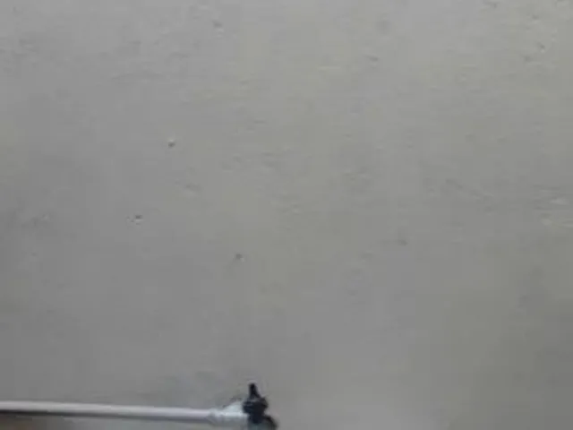 Imagem 5: Apto de 2/4 na Gentil com a José Bonifácio