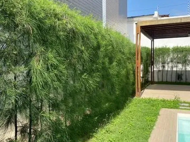 Imagem 8: Alugo Excelente Apartamento no Bancários