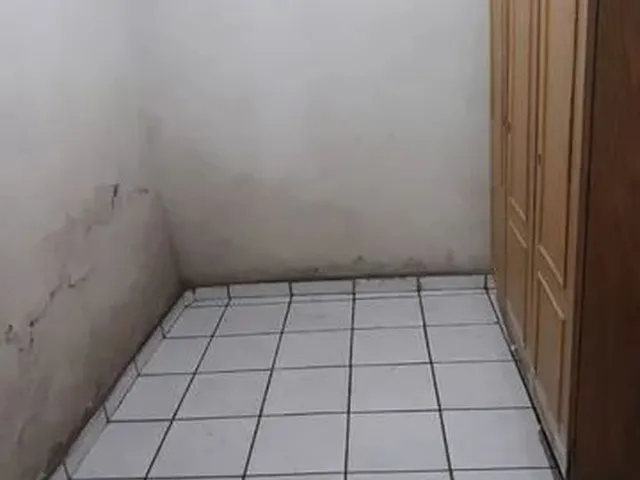 Imagem 4: Alugo Casa em Palmeira dos Indios