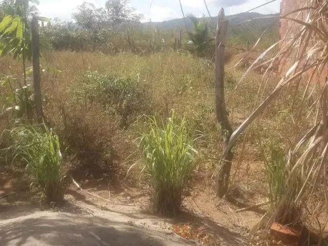 Imagem: Terreno 10Mil