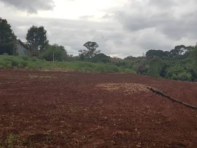 Imagem 6: Novo Contorno de Maringa Passa na Chácara/Estrada Santo Maneta