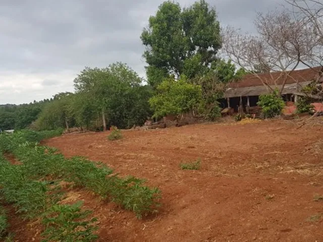 Imagem 4: Novo Contorno de Maringa Passa na Chácara/Estrada Santo Maneta