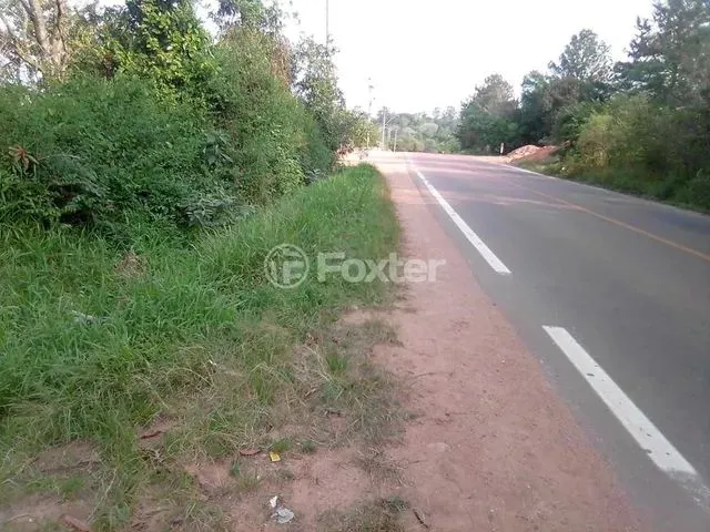 Imagem: Fazenda / Sítio / Chácara À Venda Rodovia