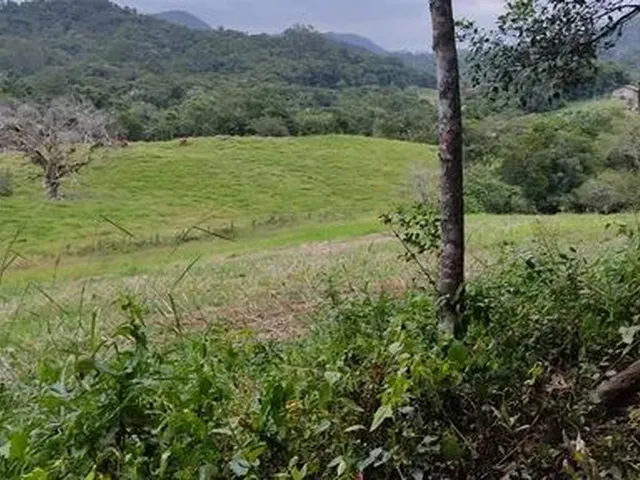 Imagem 4: Sítio em Indaial - 49.846,11 M² - Oportunidade - Barbada
