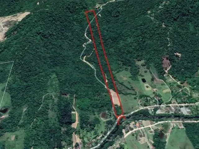 Imagem 5: Sítio em Indaial - 49.846,11 M² - Oportunidade - Barbada