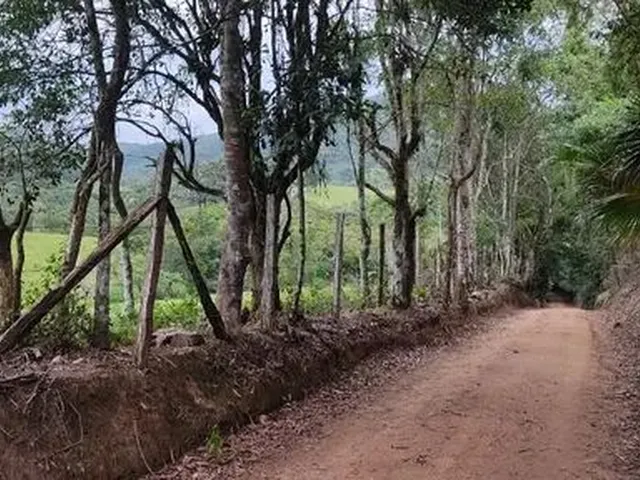 Imagem 2: Sítio em Indaial - 49.846,11 M² - Oportunidade - Barbada