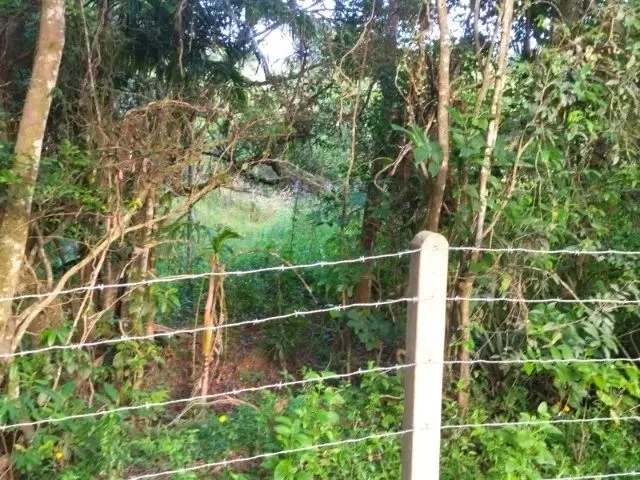 Imagem 7: Sítio em Indaial - 49.846,11 M² - Oportunidade - Barbada