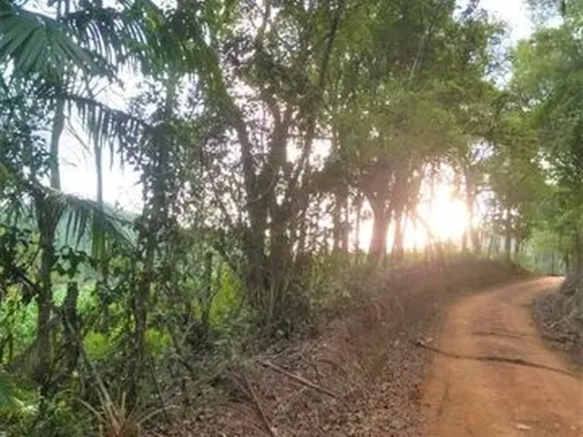 Imagem 12: Sítio em Indaial - 49.846,11 M² - Oportunidade - Barbada