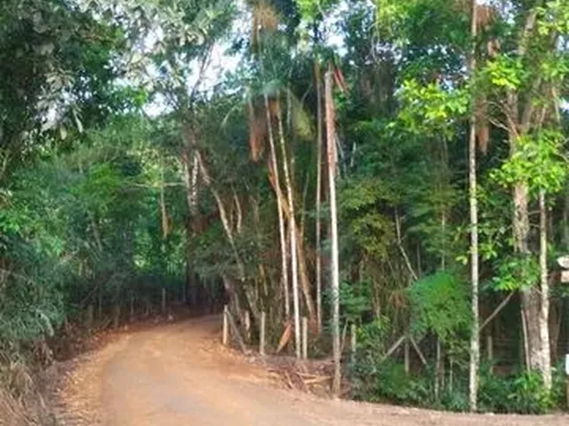 Imagem 10: Sítio em Indaial - 49.846,11 M² - Oportunidade - Barbada