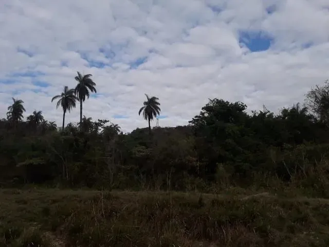 Imagem: Excelente Sítio Completo 30 Km Bh