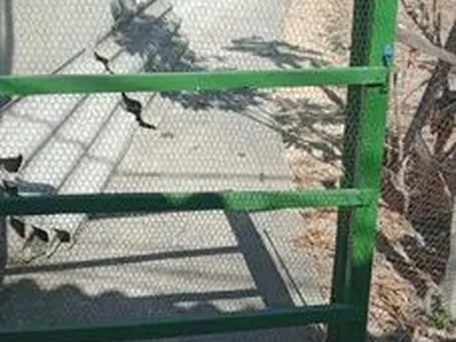 Imagem 10: Casa 2 Quartos para Casal (Sem Cachorro