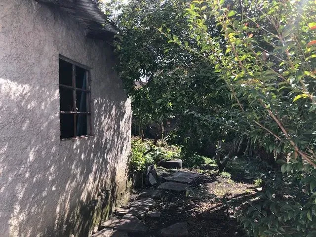 Imagem 9: Casa para Aluguel em Cajuru - Curitiba - Pr