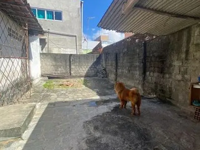 Imagem 3: Casa para Aluguel Mangabeira 7