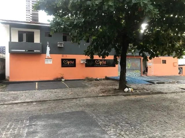 Imagem 3: Alugo Imovel Comercial em Manaira