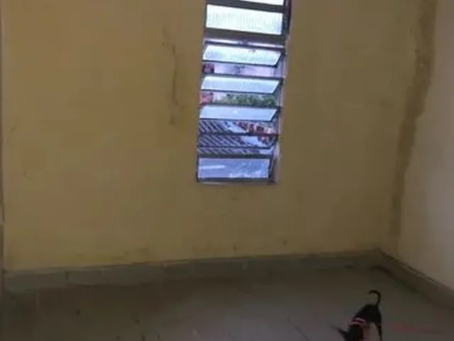 Imagem 3: Apartamento para Alugar na Boa Vista