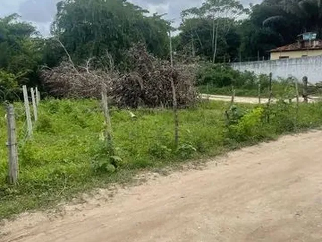 Imagem: Terreno Próximo À Estrada de Mangue Seco