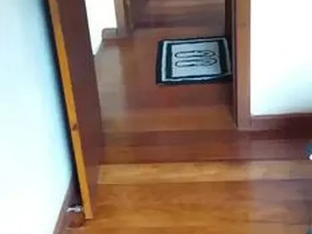 Imagem 6: Vendo Lindo Chalé em Domingos Martins