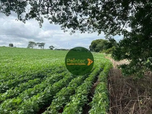 Imagem: Fazenda À Venda, 16940000 M² por R$ 3.850.000