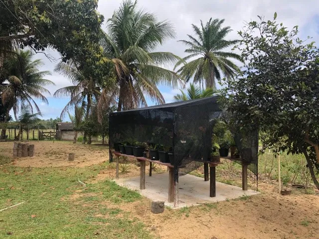 Imagem 15: Sítio na Praia! Caravelas/Bahia