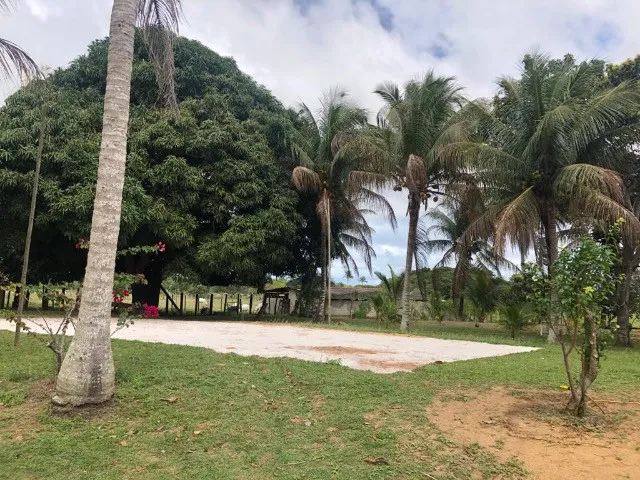 Imagem 12: Sítio na Praia! Caravelas/Bahia