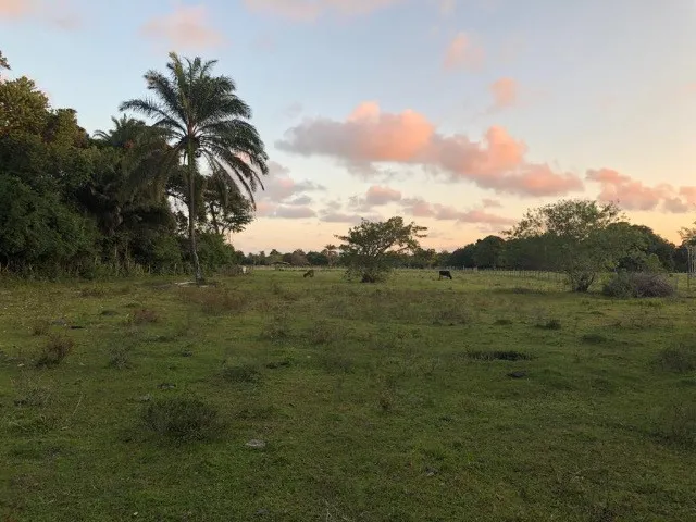 Imagem 11: Sítio na Praia! Caravelas/Bahia