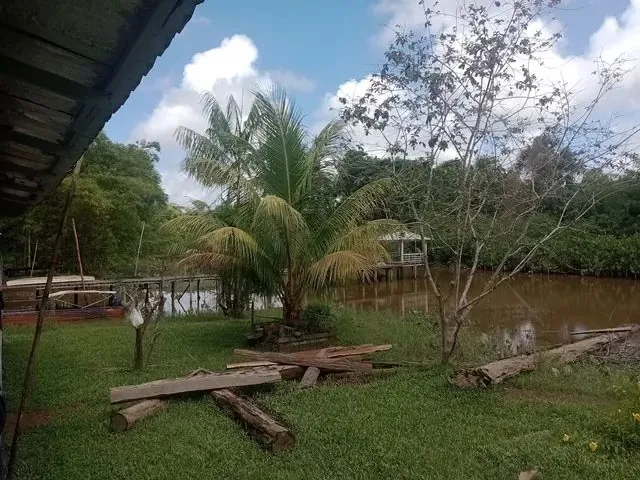 Imagem: Vendo Sitio com 100 Hectares