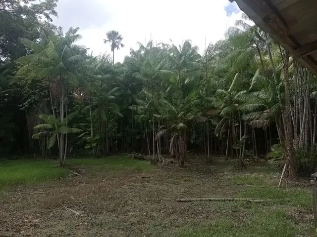 Imagem 2: Vendo Sitio com 100 Hectares