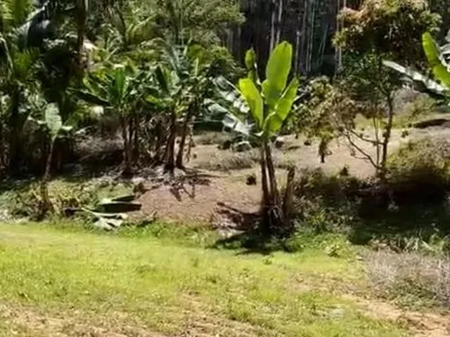Imagem: Vendo Sítio em Conceição do Castelo