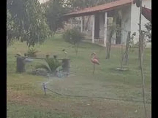Imagem 2: Vendo Uma Chácara Top