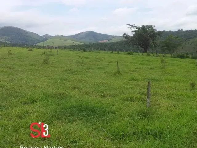 Imagem: Fazenda Café/Gado