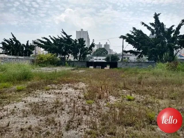 Imagem: São Bernardo do Campo - Terreno Padrão