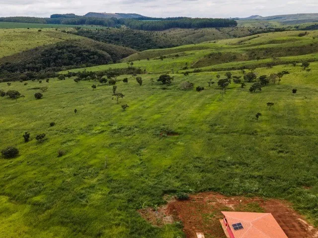 Imagem: Fazenda Triângulo Mineiro P/ Pecuária