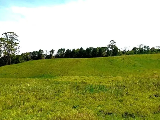 Imagem: Vendo Meu Lote com 500 Metros Quadrados