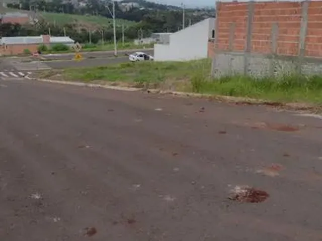 Imagem 5: Terreno em Ibiporã Jd Rivello 250M² Murado