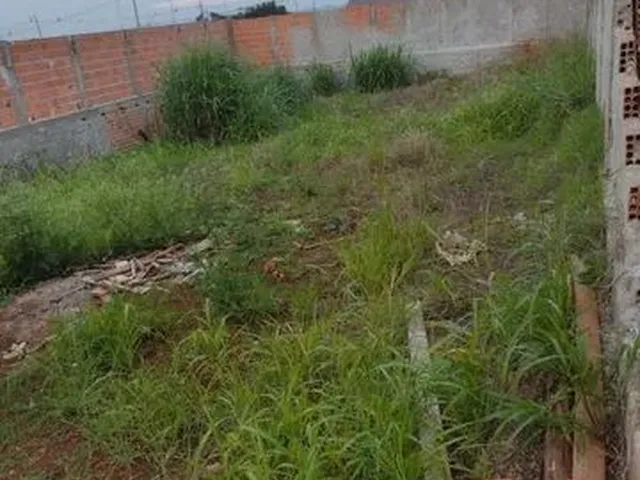 Imagem 3: Terreno em Ibiporã Jd Rivello 250M² Murado