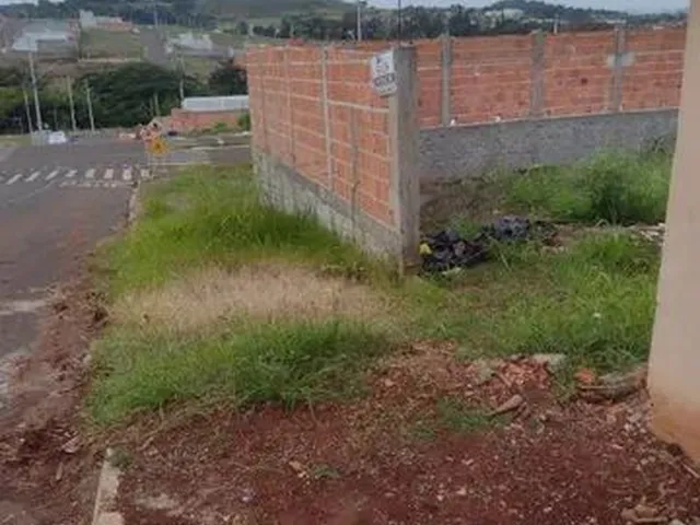 Imagem 6: Terreno em Ibiporã Jd Rivello 250M² Murado