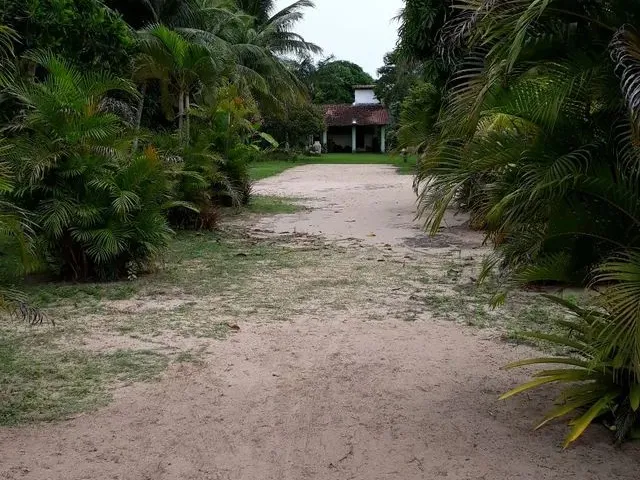 Imagem 13: Chácara/Sítio/Granja/Clube/Associação/Eventos