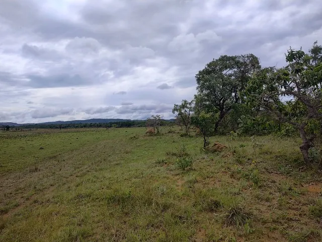 Imagem: Fazenda Cavalcante Goiás