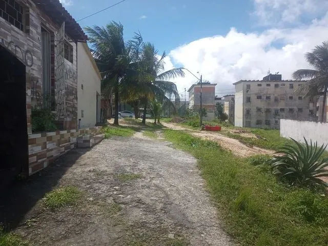 Imagem 5: Casa para Verdade. 250m² de Área, 1 Vaga na garageme1 Dormitório