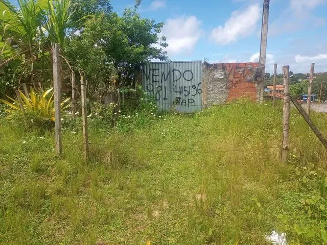 Imagem 3: Casa para Verdade. 250m² de Área, 1 Vaga na garageme1 Dormitório