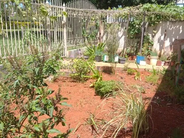 Imagem 13: Vendo Excelente Casa na Quadra 13 de Sobradinho